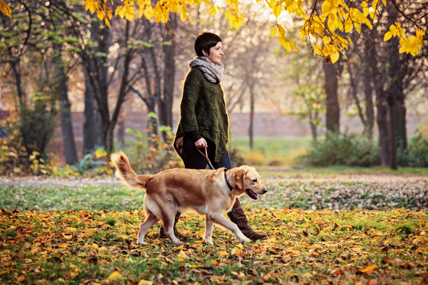 woman talking dog for a wlak autumn