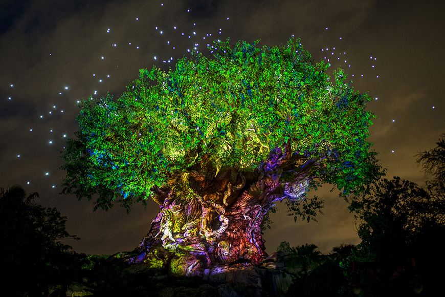   Disney's icónico Disney Tree Disney's Animal Kingdom 