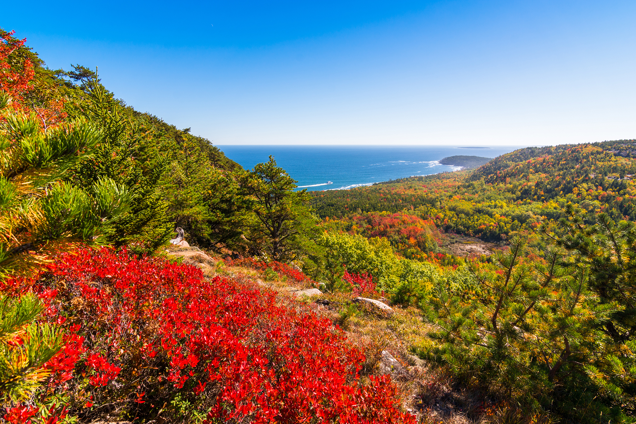 acadia national park autumn.