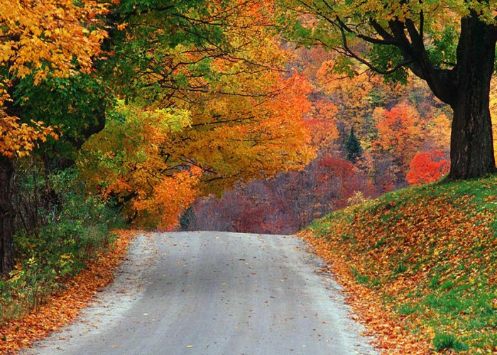 When to Go for the Best Fall Foliage