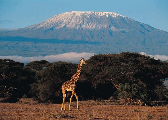 Daily Daydream: Mount Kilimanjaro, Tanzania, Africa