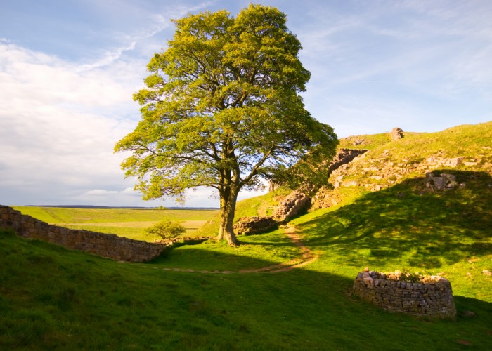 England’s Past Comes Alive in Hadrian’s Wall Country