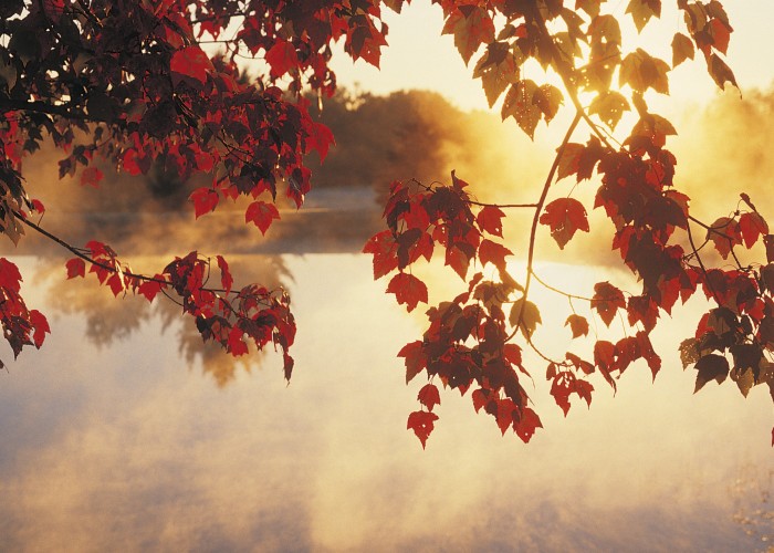 What We’re Reading: The Best Way to See Fall Foliage on a Budget