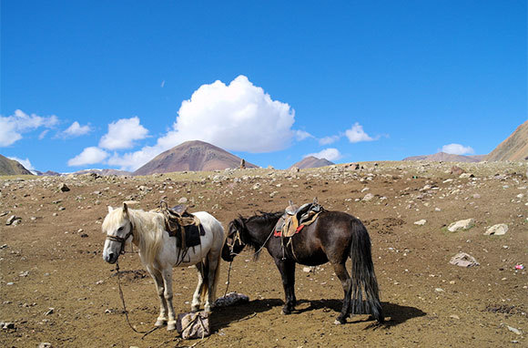 Ride the Mongol Horse Trail