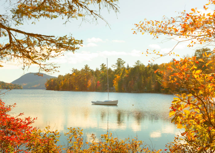 Long Pond seen through trees with autumn foliage in Acadia National Park in Maine, United States