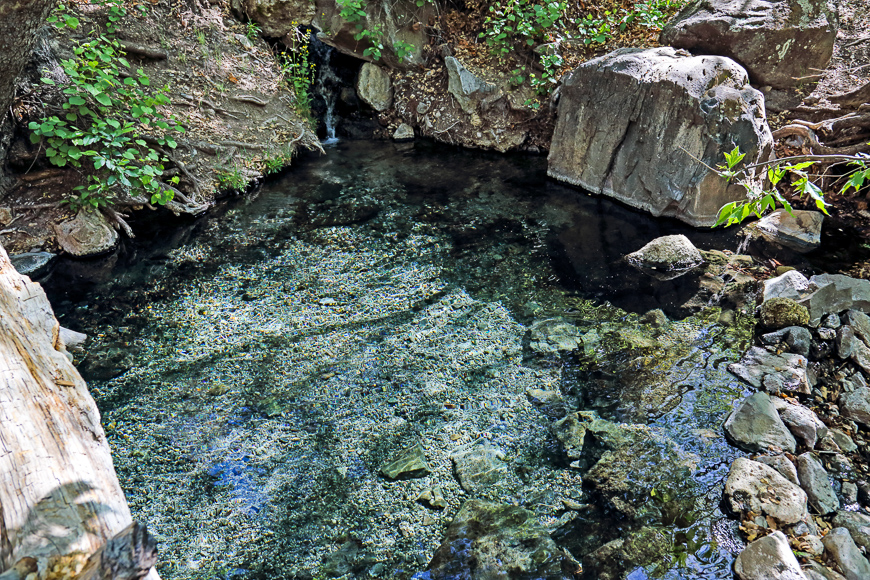 Jordan Hot Springs, Near Silver City, New Mexico