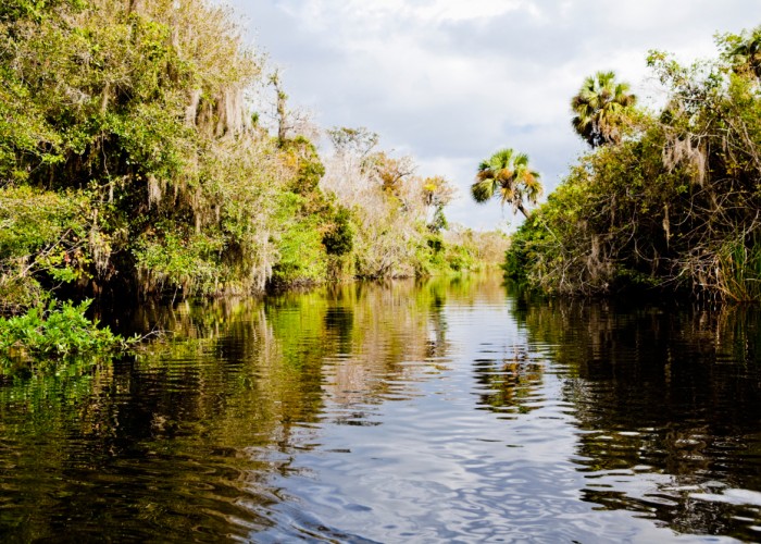 Everglades National Park Enviro-Tour with Caribbean Watersports