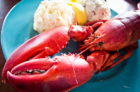 Nova Scotia's Lobster