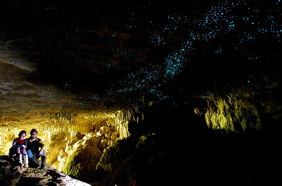 Waitomo Glowworm Caves, Waitomo, New Zealand