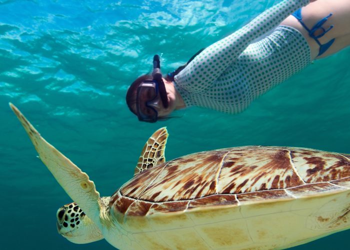 10 Best Snorkeling Spots in the World
