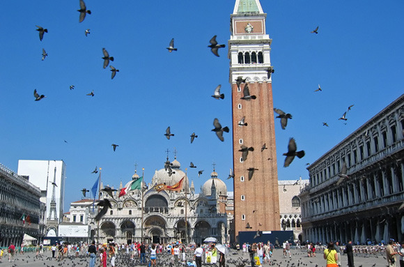 Feeding The Pigeons In Venice
