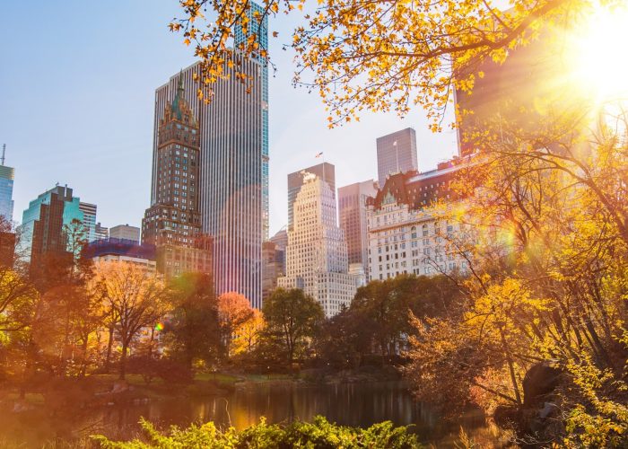 Everything to Do for Free in NYC This Fall