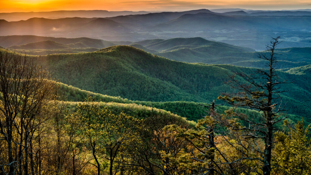 blue-ridge-parkway