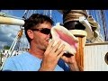 How To Blow a Conch Shell