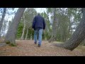 Are there trees in Iceland? | #AskGudmundur
