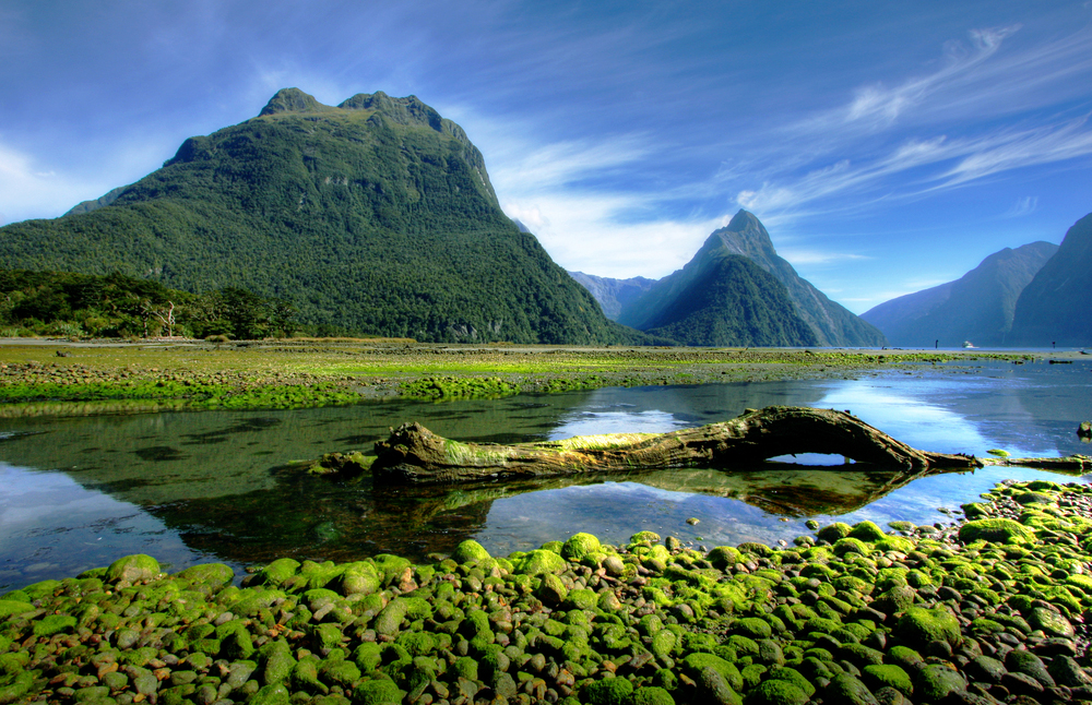 reflection and nature at fiordland national park