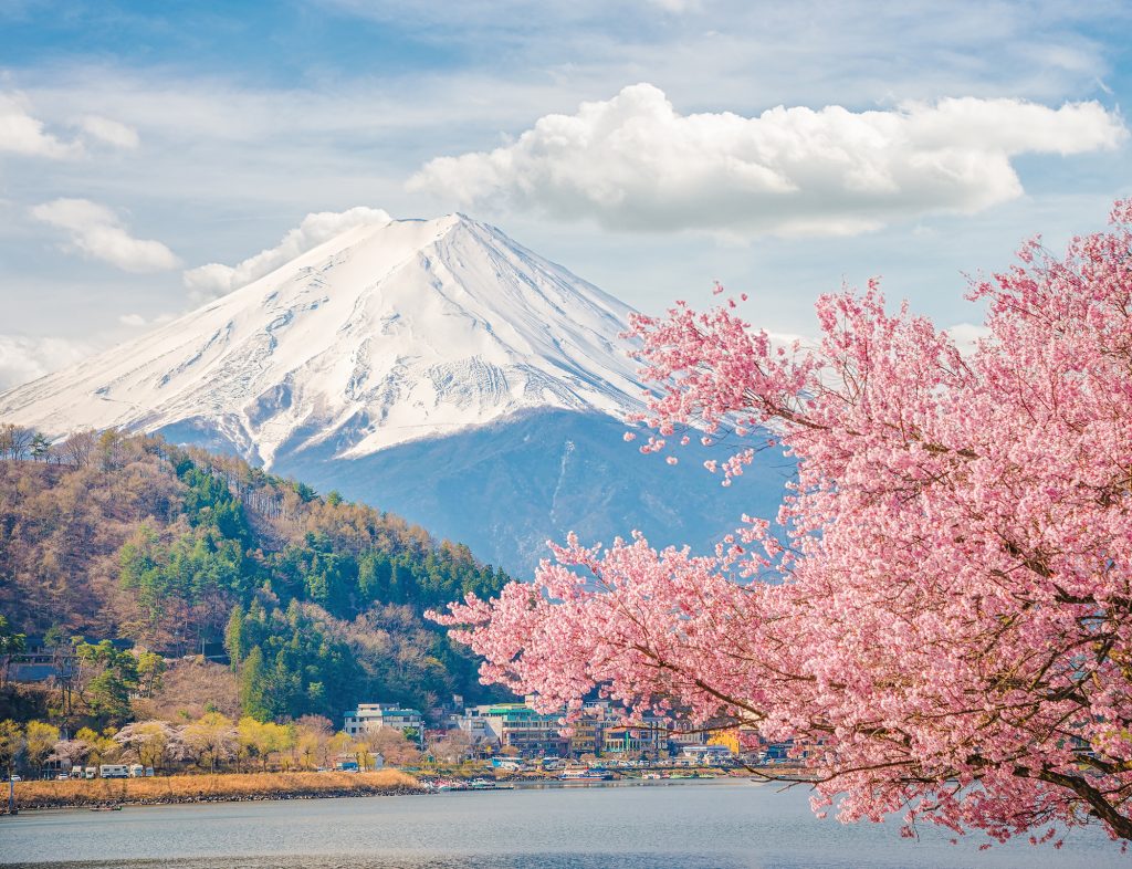 mt fuji in the spring