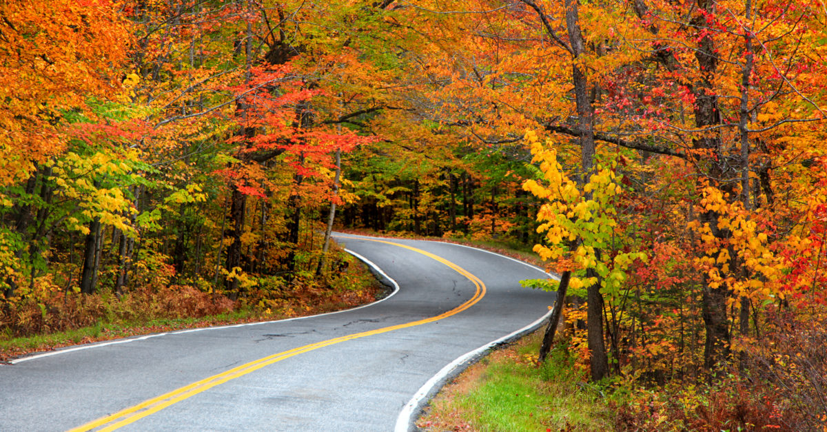The 7 Best U.S. Cities and Cities to View Autumn Foliage