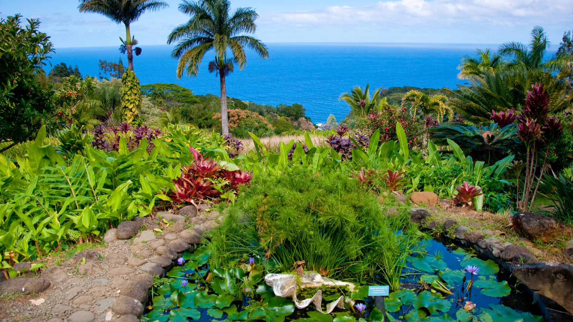 garden of eden maui