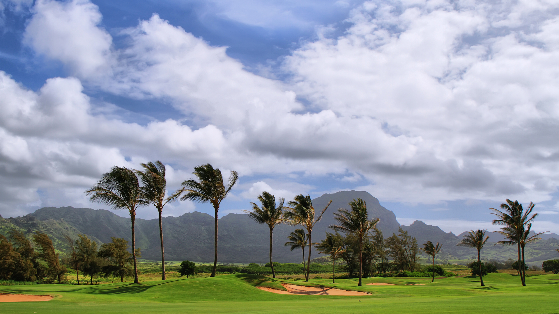 golf hawaii
