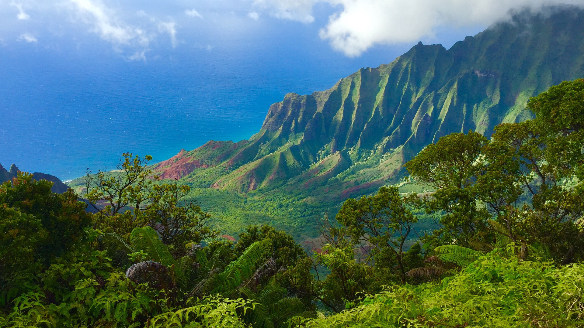 kauai hawaii