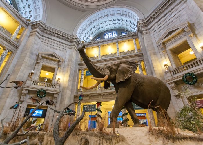 Visit Museums Across the U.S. for Free This Saturday
