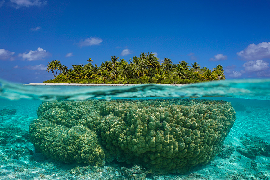 Tropical island above and underwater with coral below sea surface, atoll of Tikehau, Tuamotu archipelago, French Polynesia, Pacific ocean 