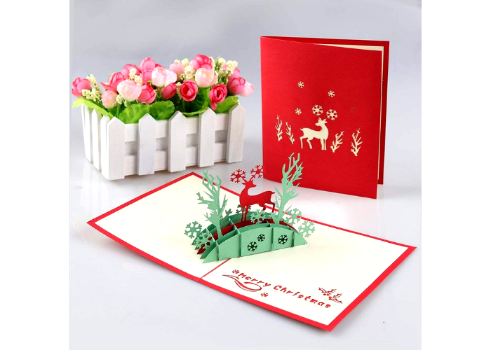 pop up card and flowers