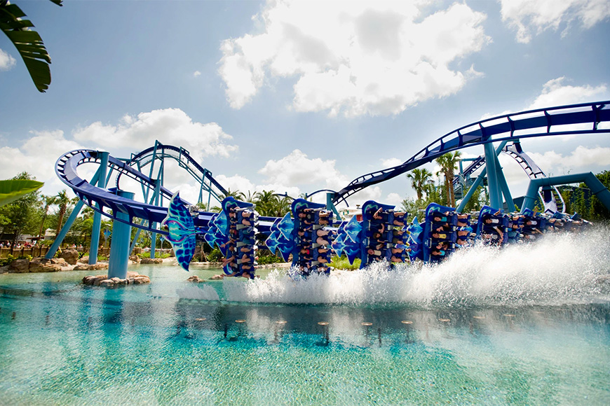 Manta Dips a Wing at SeaWorld Orlando 