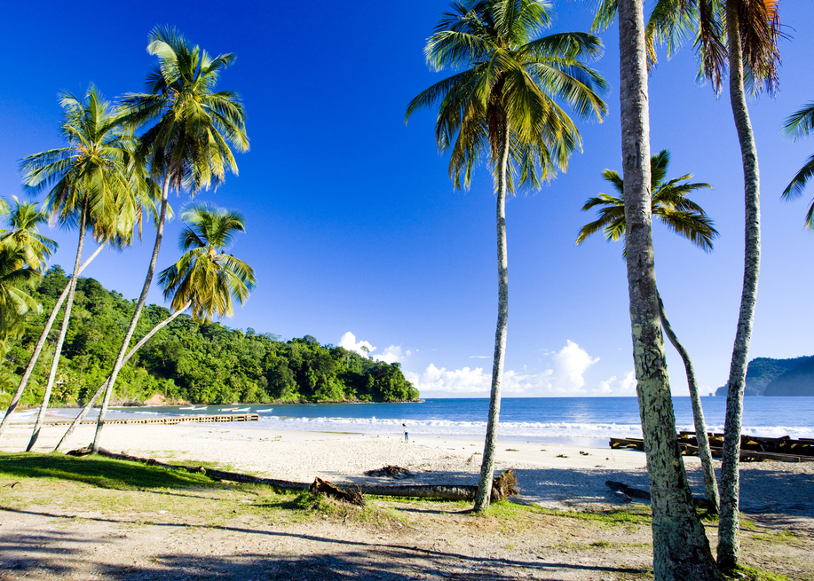 playa con palmeras