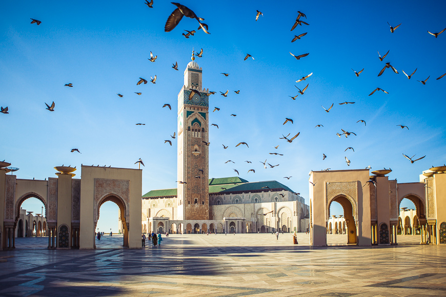 pigeons soar over the area of the mosque Hassan II in Casablanca, Morocco.