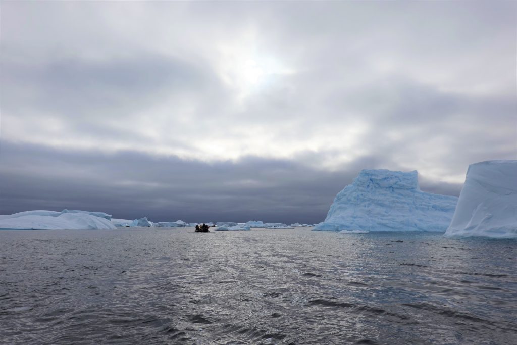 Icebergs in antarctica
