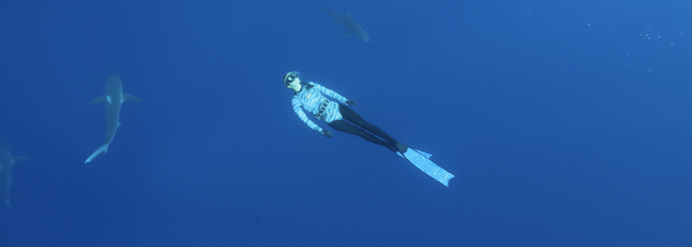 marine biologist swimming with sharks.