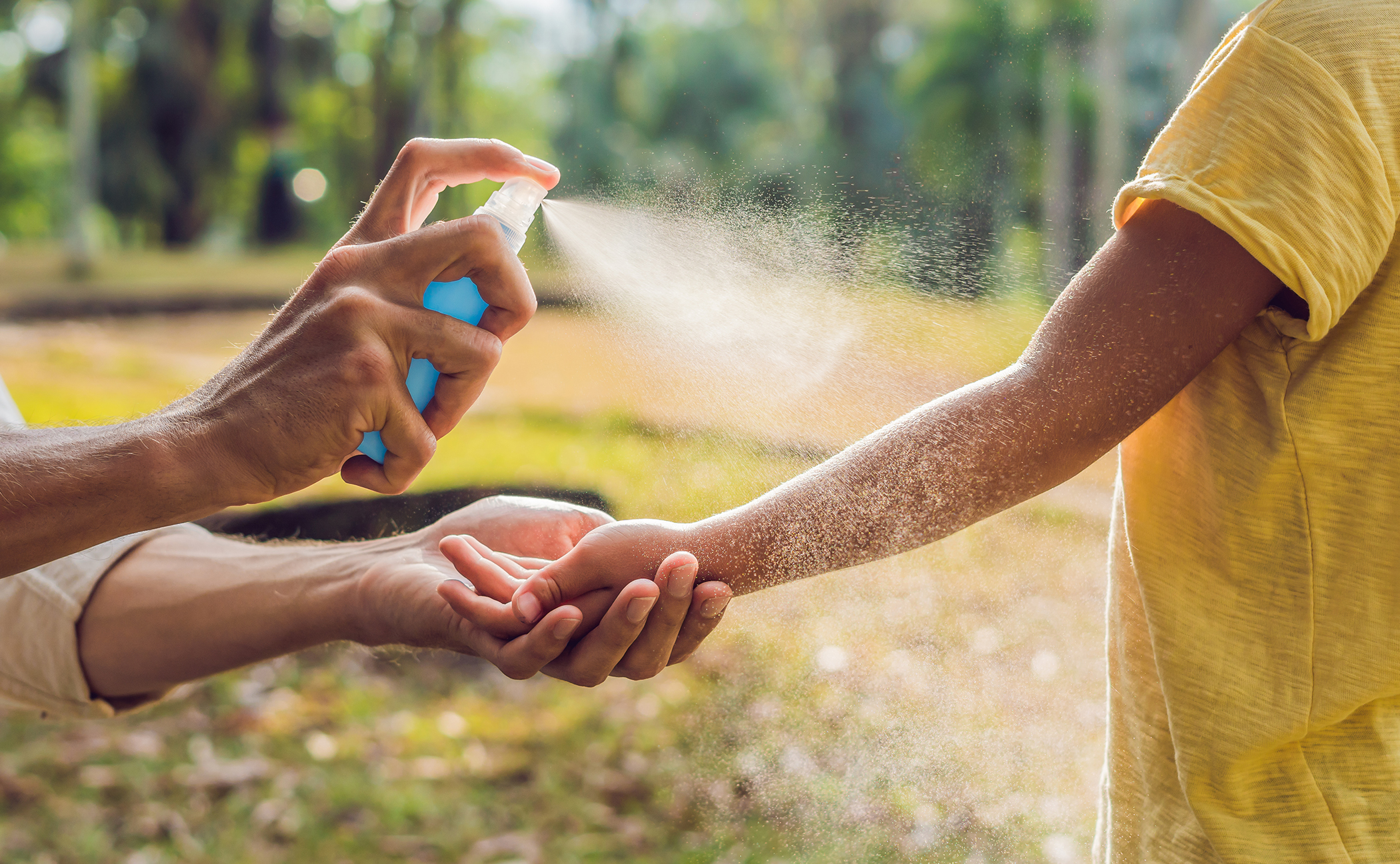 Plant-based insect repellents