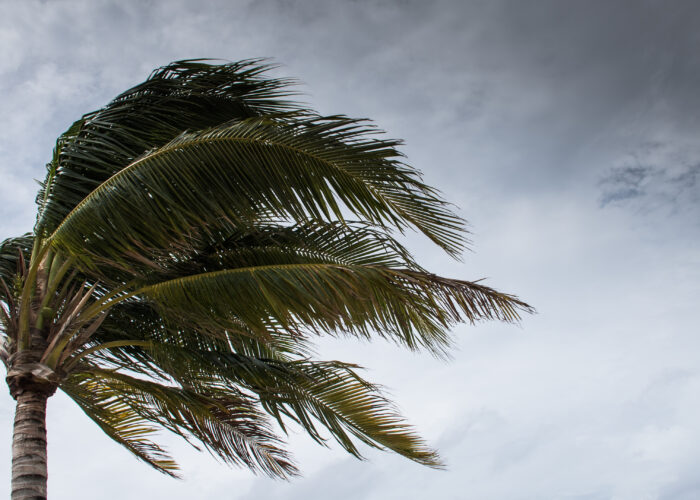 How to Avoid Caribbean Hurricane Season