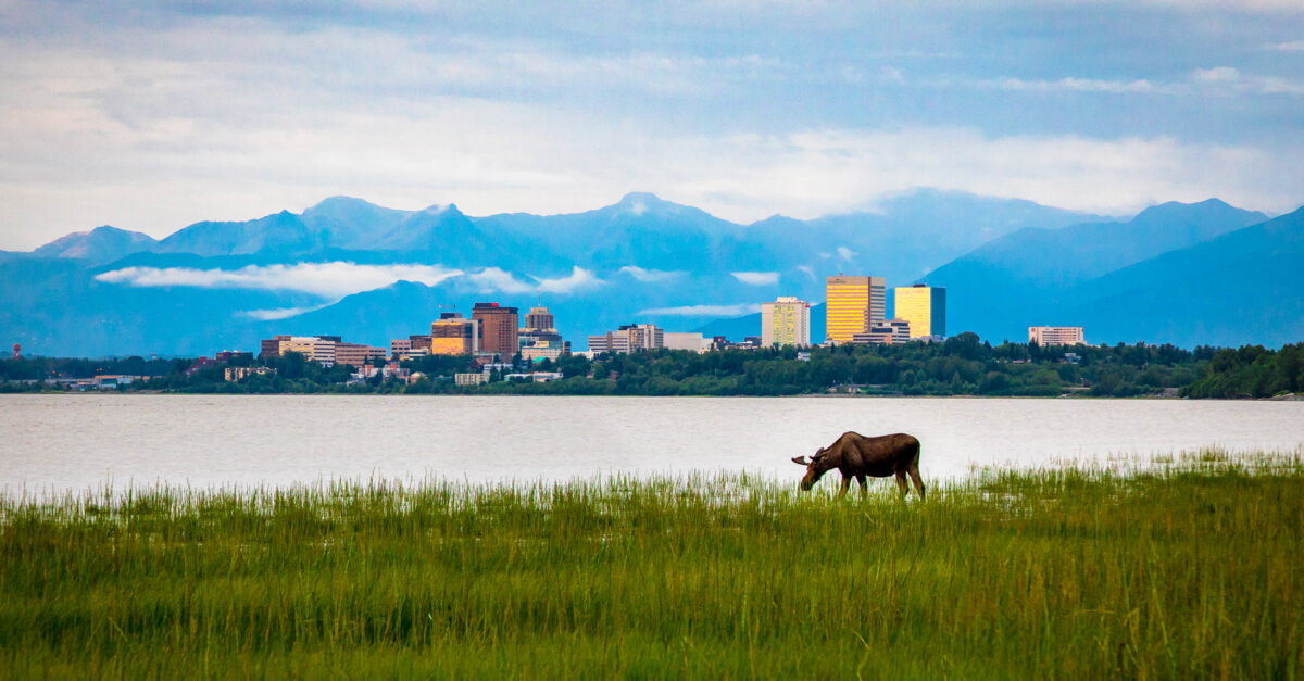 8 Best Things to Do in Anchorage, Alaska