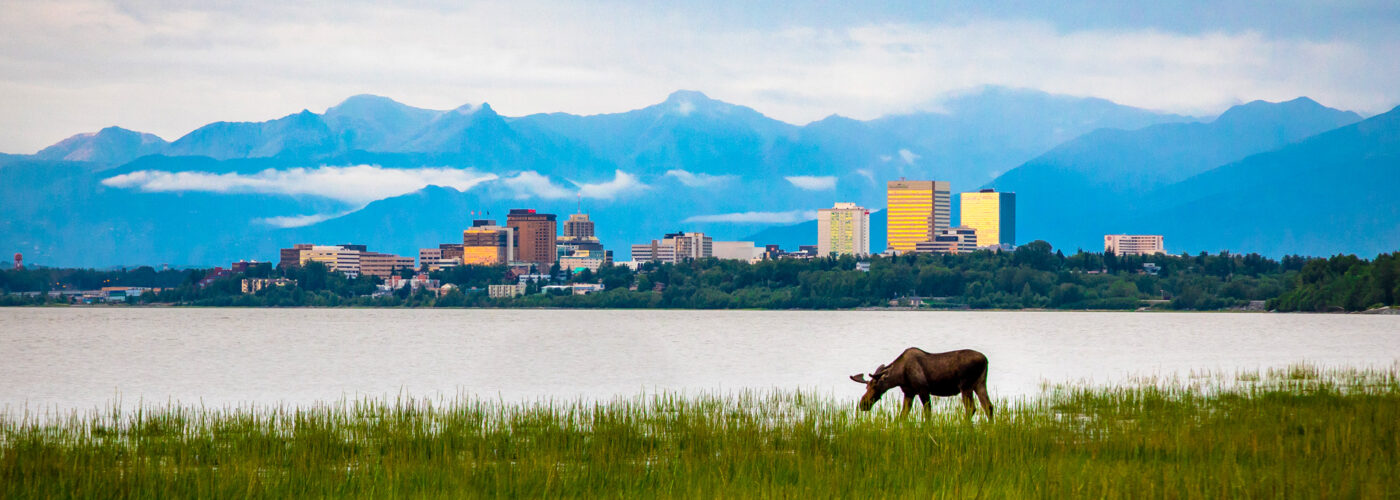 Anchorage Alaska skyline and moose.