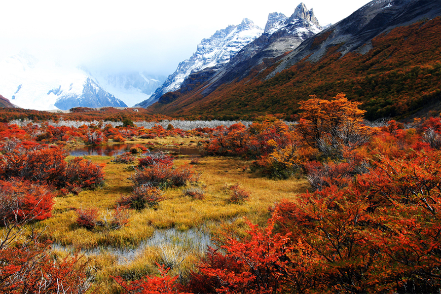 fall foliage in patagonia.