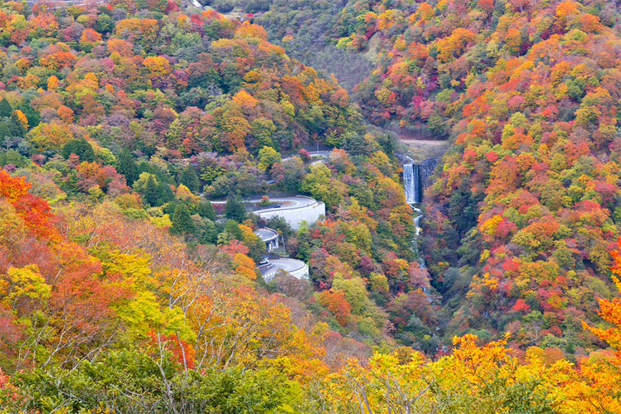 fall foliage in nikko, japan.