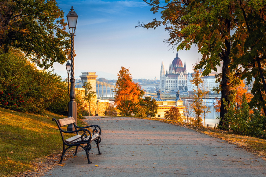 fall foliage in budapest, hungary.