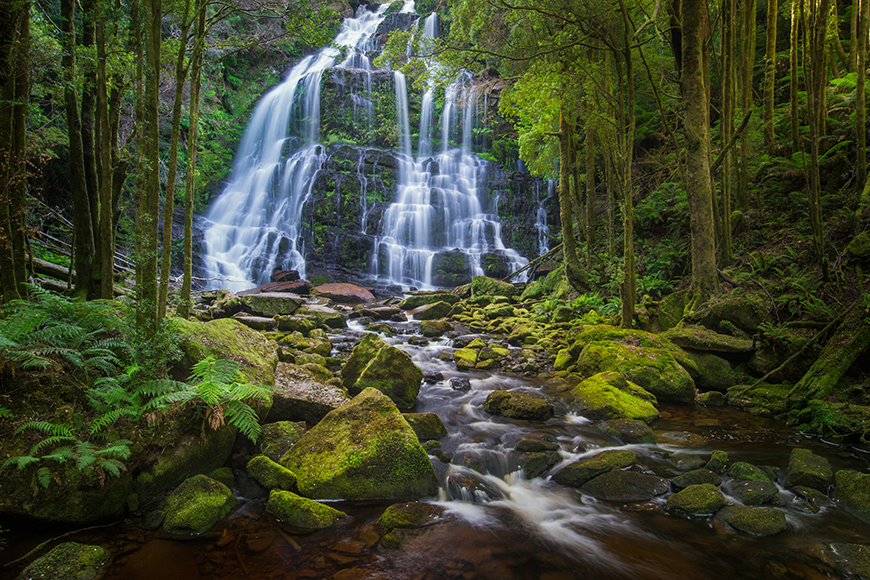 nelson falls waterfall tasmania.