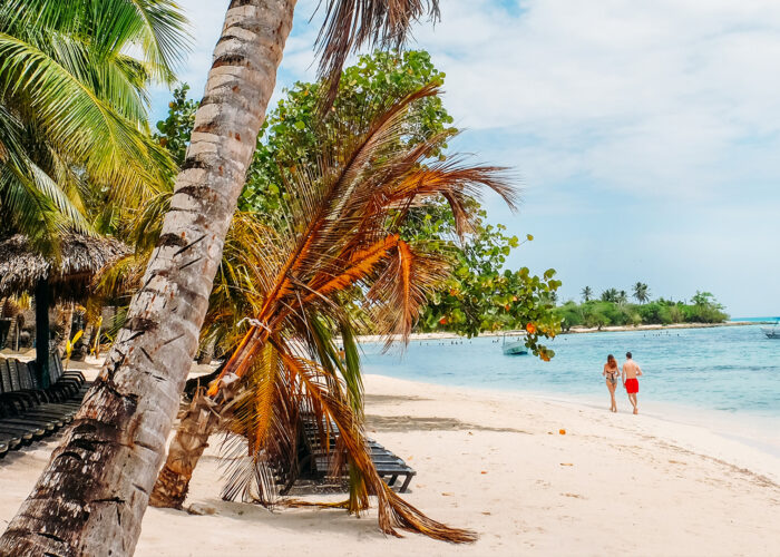 couple walking along beach palm trees