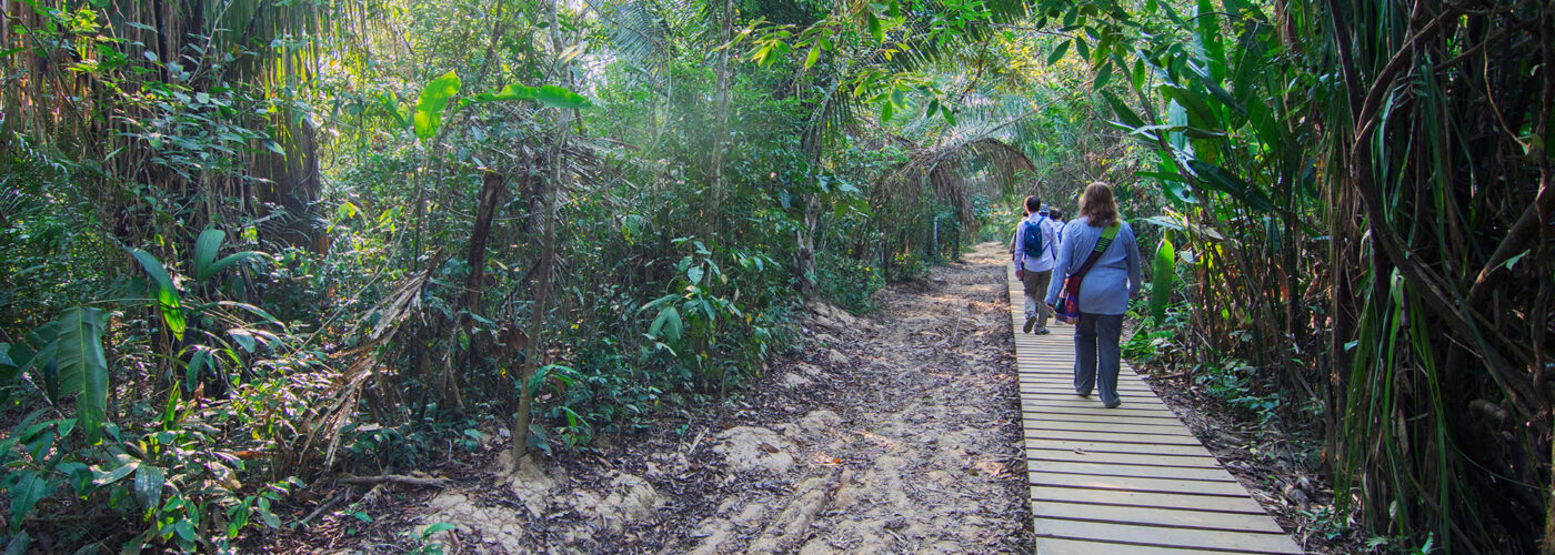 hikers in amazon rainforest.