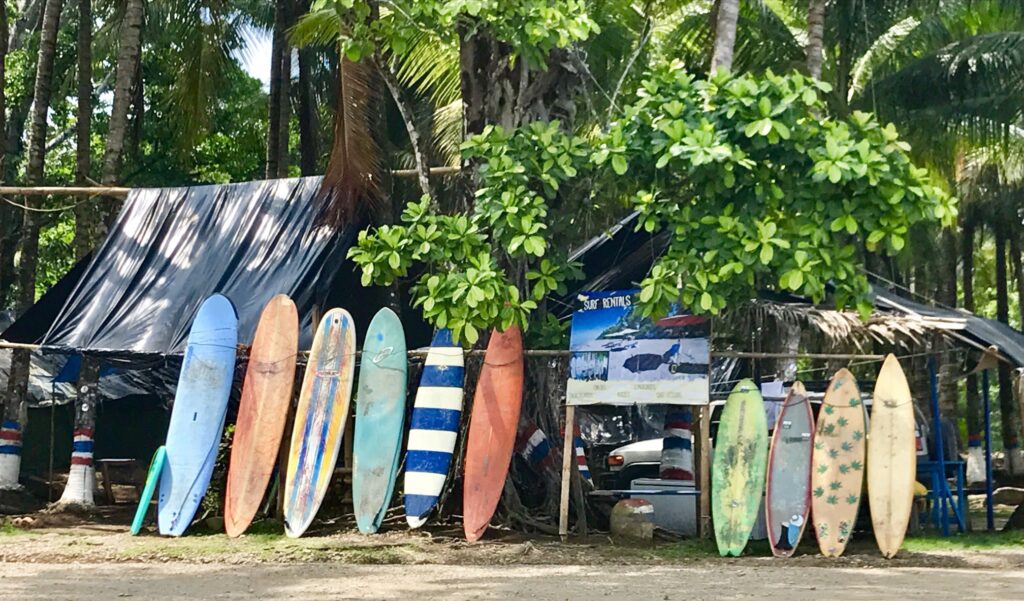 surf boards lined up at beach