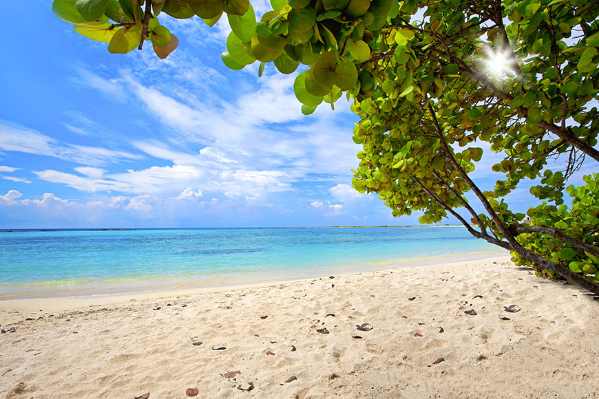 baby beach aruba.