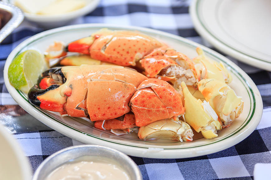 miami stone crab.