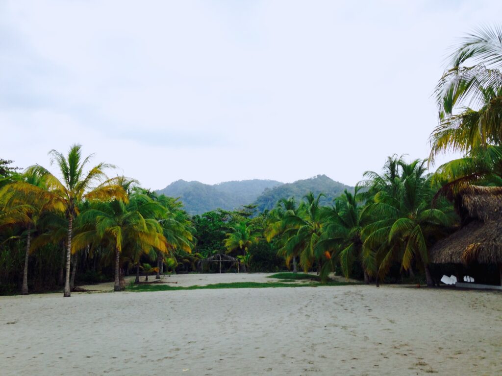 tayrona national park.