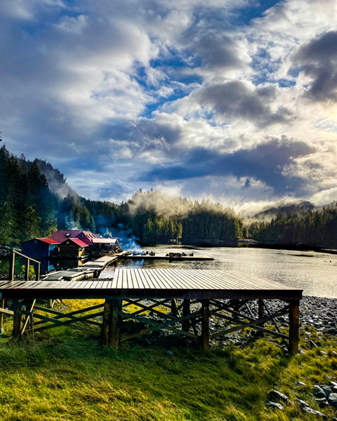 great bear rainforest section