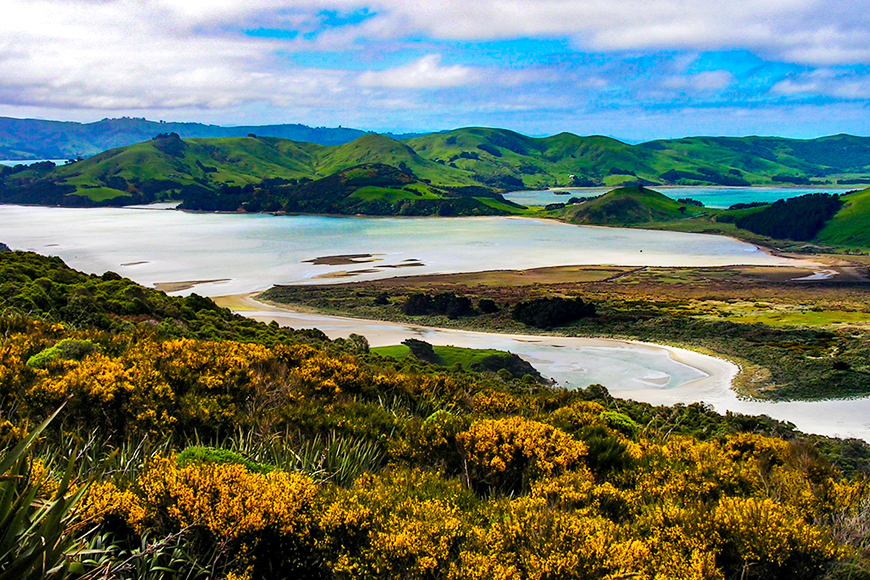 landscape south island new zealand.