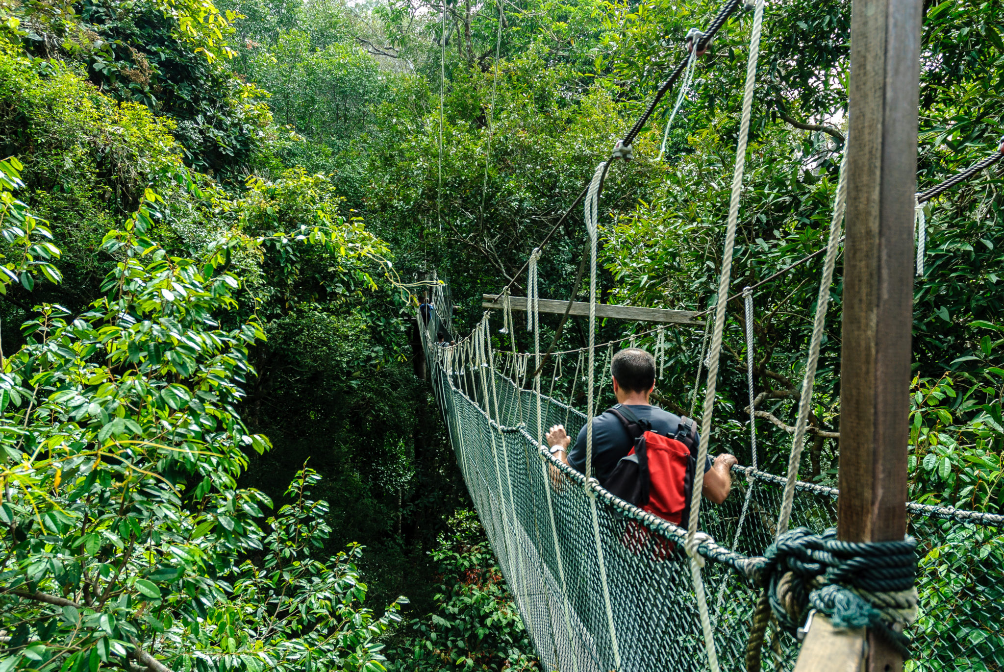 The 5 Best Jungle Adventures Around the World | SmarterTravel